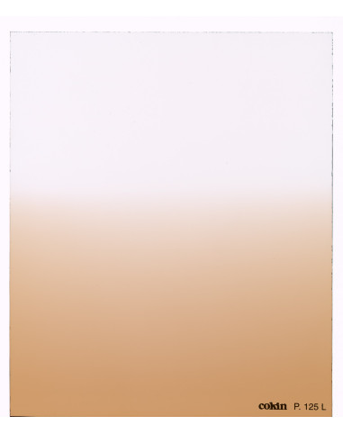 Filtre Dégradé Tabac T2-Light    - Taille M (série P)